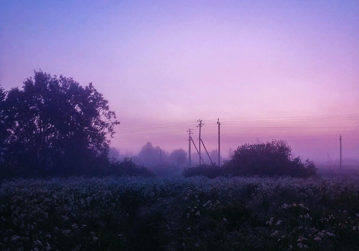 hth直播运营公司-兰德尔21+8迎里程碑森萨鲍41分 森林狼狂胜爵士